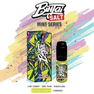 Binjai Mint Salt Tropical Spearmint 10ml